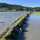 Rheinpegel steigt