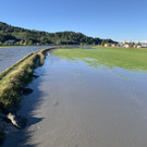 image00016.jpeg