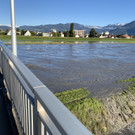 image00008.jpeg