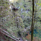 102MSDCF_ DSC05419.jpg