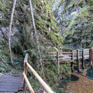 102MSDCF_ DSC05429.jpg