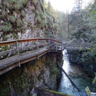 102MSDCF_ DSC05436.jpg