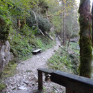 102MSDCF_ DSC05448.jpg