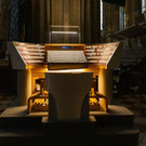 ABD0023-20201004.jpg