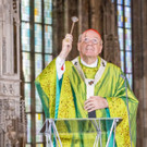 ABD0013-20201004.jpg