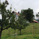 Haus_Obstgarten.jpg