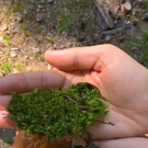 WP_20200914_11_31_45_Pro.jpg