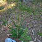 WP_20200915_11_42_47_Pro.jpg