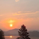 WP_20200916_07_15_49_Pro.jpg