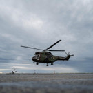 AFP_8RE8G4.jpg