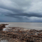 AFP_8RE86F.jpg