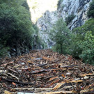 France_Europe_Storms_28216.jpg