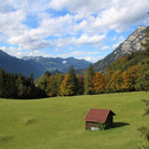 IMG_2011.JPG
