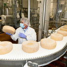 PK-V-Milch035.JPG