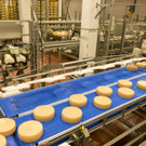 PK-V-Milch039.JPG