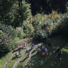Schlepper in Dornbirn abestürzt