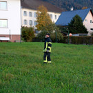 BGM baum _64_.JPG