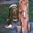 BGM baum _94_.JPG