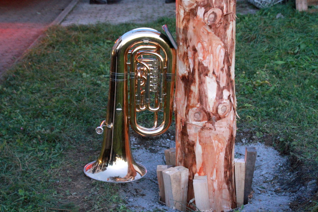 BGM baum _94_.JPG