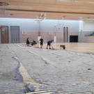 Sanierung der Sporthalle im Reichenfeld