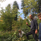 9_10_20_15 Waldpflege.JPG