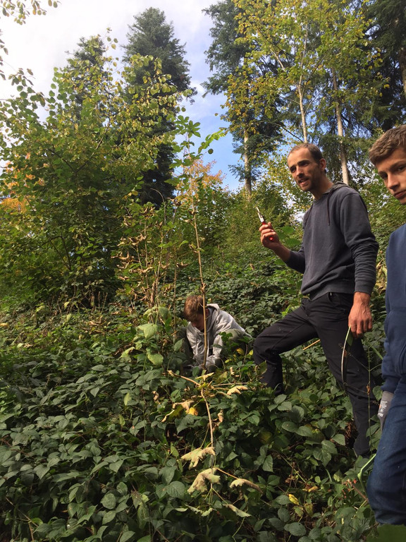 9_10_20_15 Waldpflege.JPG