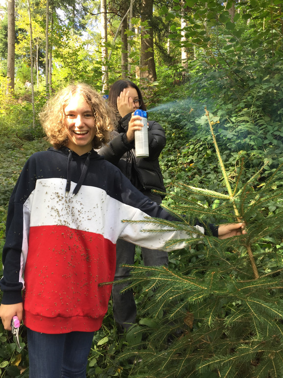 9_10_20_12 Waldpflege.JPG