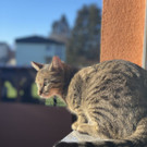 E6826CD5-5D71-43B5-84DC-D7F8C28528D8.jpeg