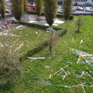 image00004.jpeg