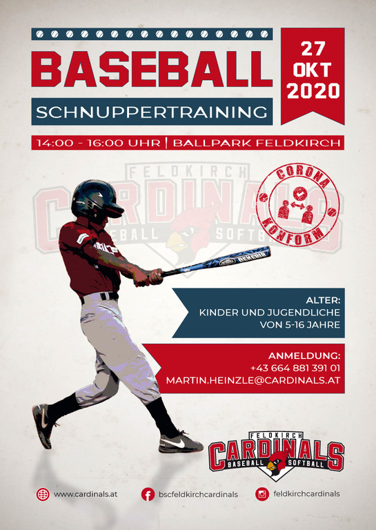 Baseball Flyer PPBACKG_A6_FINAL.jpg