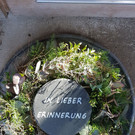 20201014_163056 klein.jpg