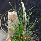 20201014_163257 klein.jpg