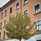 IMG_4561.JPG