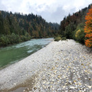 IMG_4580.JPG