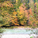 IMG_4584.JPG