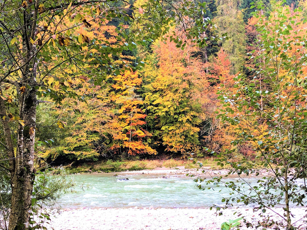 IMG_4584.JPG