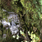 IMG_4588.JPG