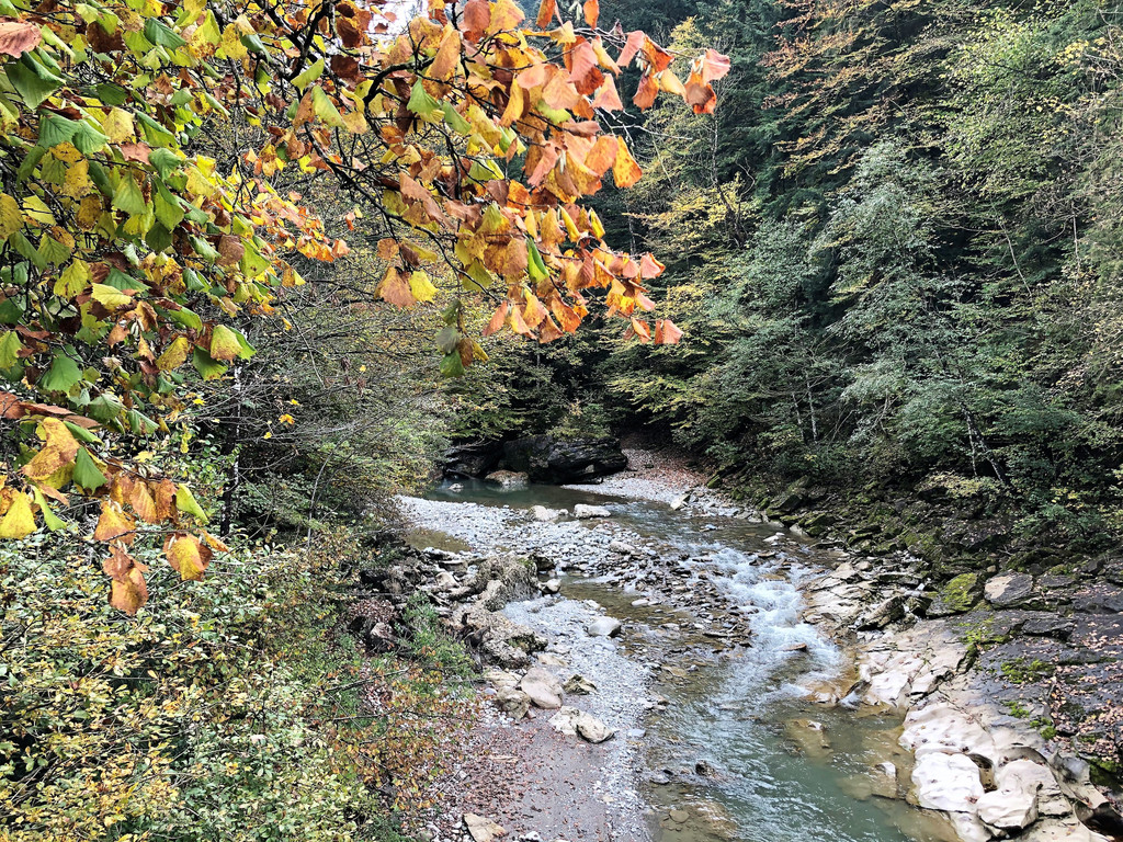 IMG_4598.JPG