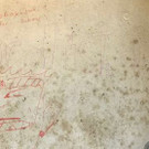 Schriftzug2.JPG