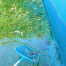 ABD0016-20201022.jpg