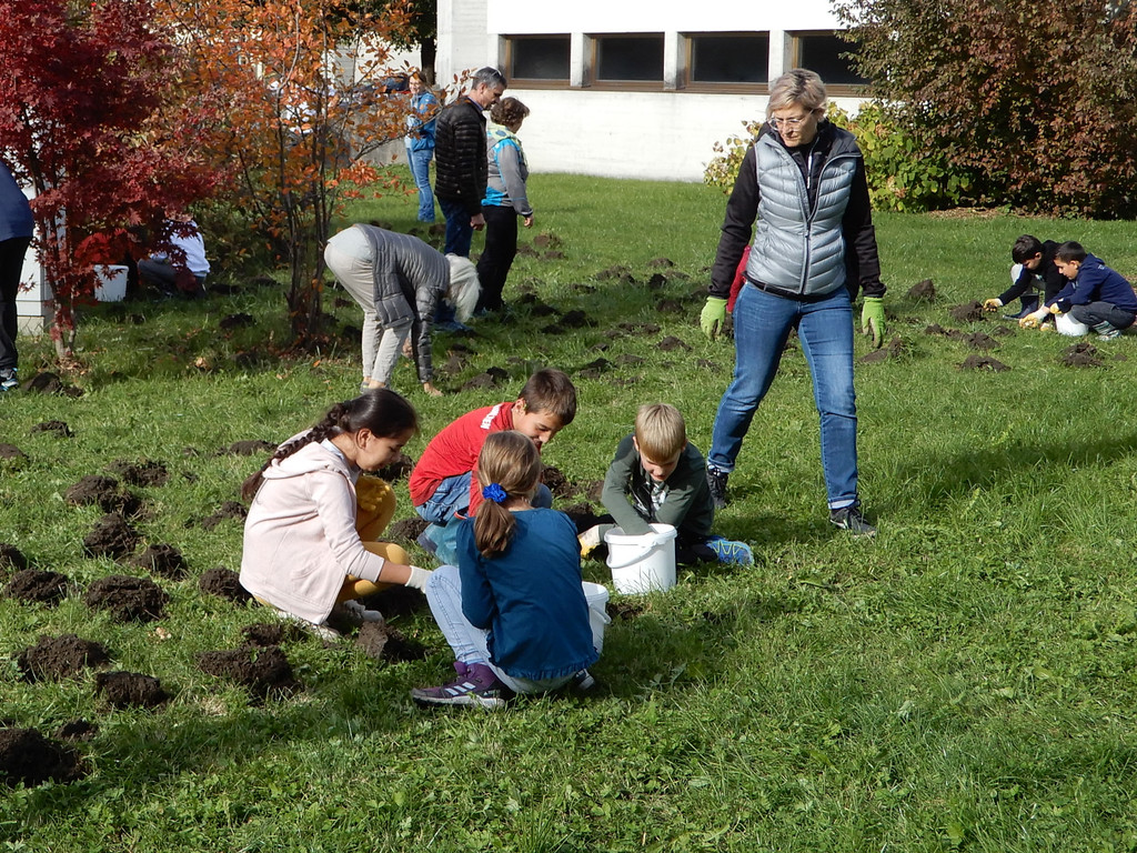 Oktober 23 018.JPG