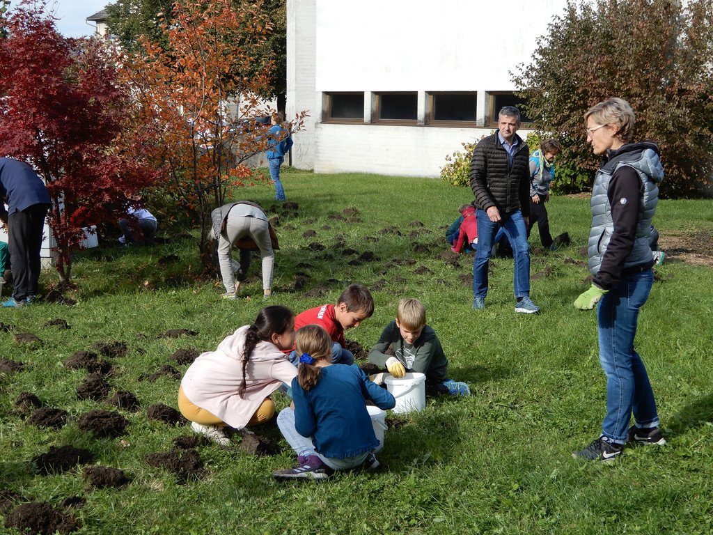 Oktober 23 019.JPG