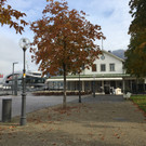 IMG_5056.JPG