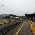 DSCI5348.JPG
