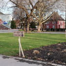 Der Garten im Kulturhauspark im Wandel der Zeit. 