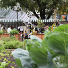 VN9_0121_coBLUM Andrea.JPG