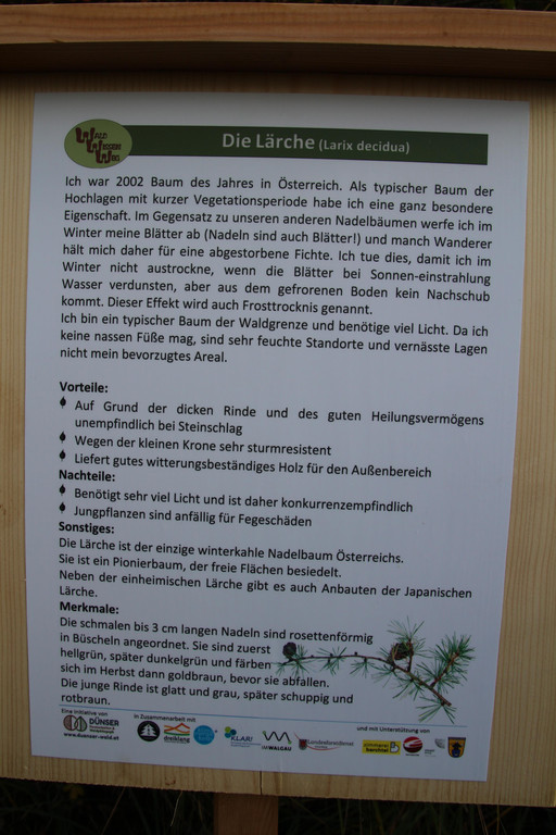 IMG_2386neu.jpg