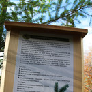 IMG_2389ab.jpg