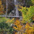 IMG_2408.JPG