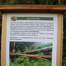 IMG_2409neu.jpg